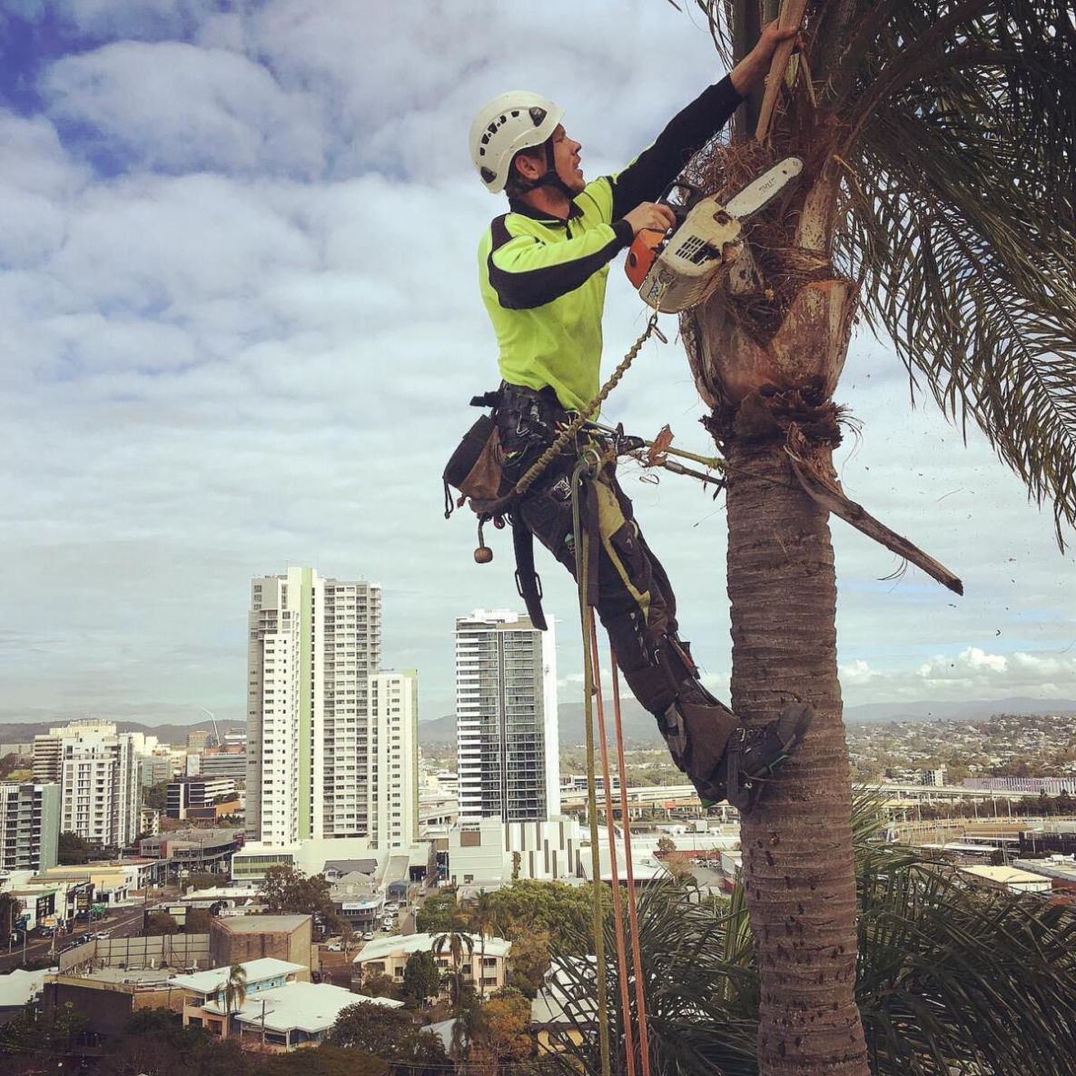 BRISBANE NORTHSIDE STUMP GRINDING STUMP REMOVAL