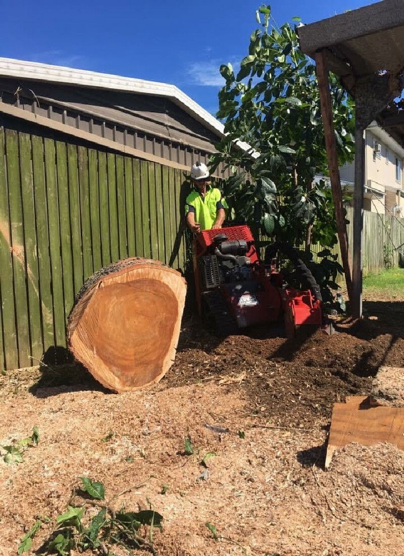 STUMP GRINDING STUMP REMOVAL REDCLIFFE
