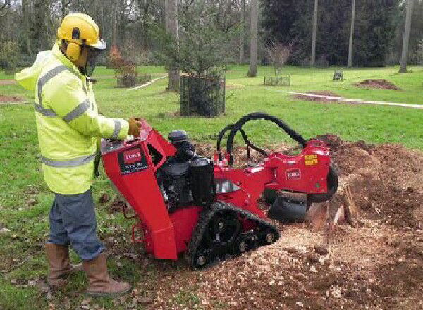 STUMP GRINDING STUMP REMOVAL NORTH LAKES MANGO HILL